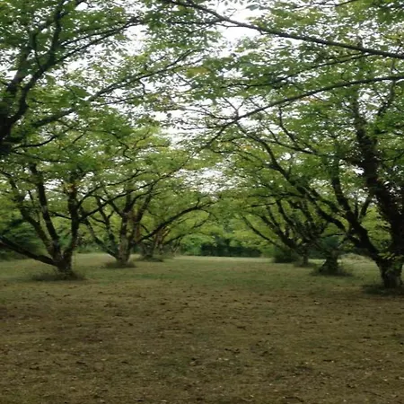 Garden With Ensuite 圣马丁勒瑞杜
