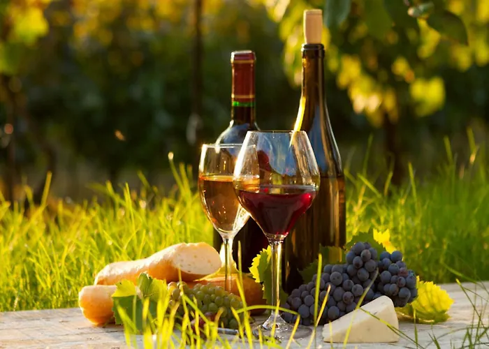 Garden With Ensuite * Saint-Martin-le-Redon